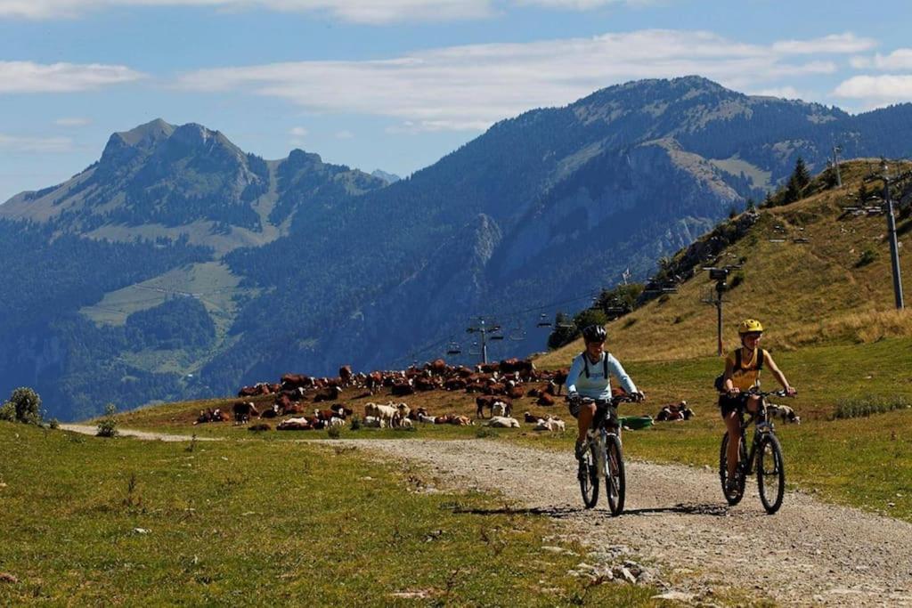 Appartement Montagne La Vallee Verte Coeur Station Hirmentaz Bellevaux Luaran gambar
